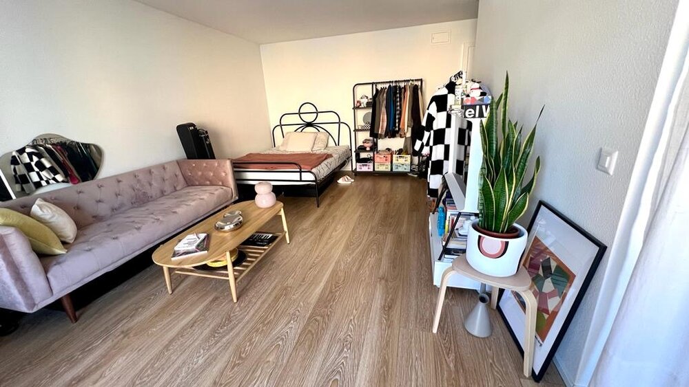 TEMPORARY Beautiful Studio Apartment Sublet in Kreis 4,...