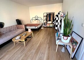 TEMPORARY Beautiful Studio Apartment Sublet in Kreis 4,...