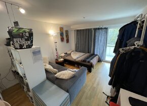 1 Zimmer-Wohnung zur Untermiete 1.Dez.24 - 19.Feb.25