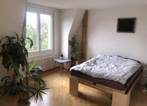 temporäre Miete Dachgeschoss-Altbau-Wohnung mit Sicht...