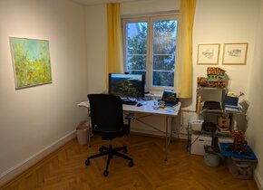 Stilvolle und helle 3-Zimmer-Altbauwohnung in Wiedikon...