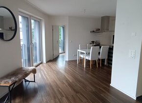 Large Temporary Room in Modern, Central Zurich Apartment