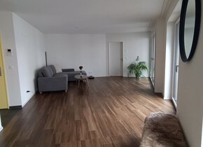 Large Temporary Room in Modern, Central Zurich Apartment