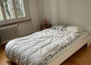 BEFRISTETE 3-Zimmer-Wohnung per 1. November 2024