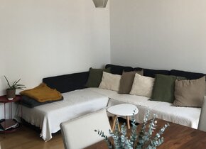 3 Zimmer Wohnung in Wiedikon befristet für ca. 3 Monate