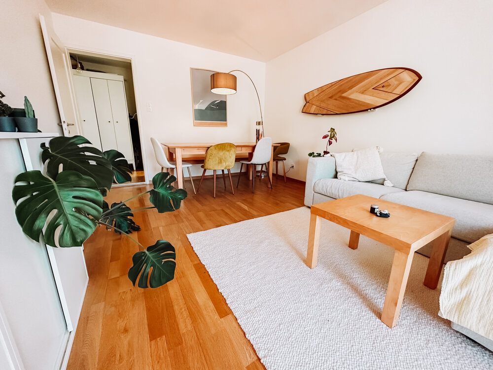 Sublet beautiful 3.5 BRD in Wiedikon November 2025