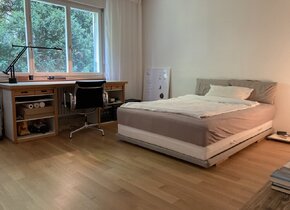 Bright, stylish, fully furnished apartment in Hottingen,...