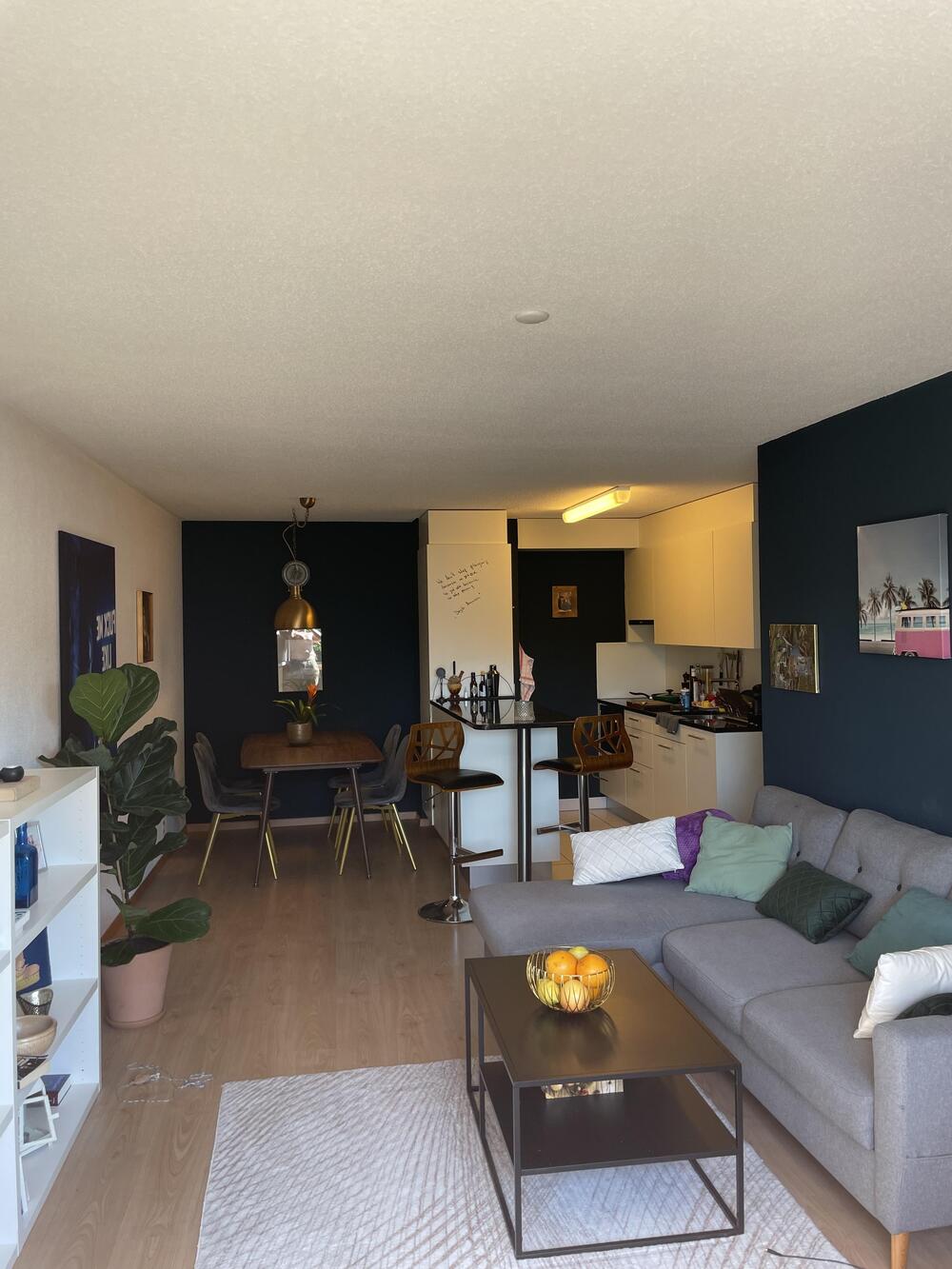 Schönes Apartement in Zürich City für 3  Wochen zu...