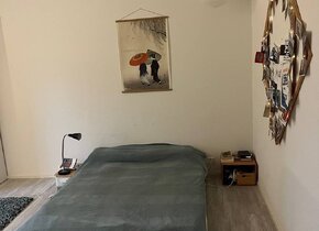 Furnished 2-Room Apartment for Sublease until Dec 17th