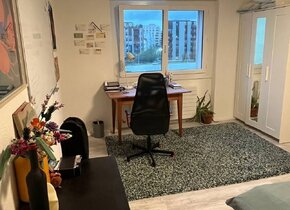 Furnished 2-Room Apartment for Sublease until Dec 17th