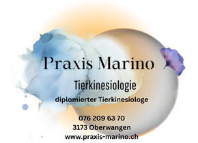 Tierkinesiologische Behandlung – Kennenlernangebot