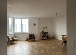 moderne sonnige Wohnung von Mitte Dez-Mitte Jan nahe...