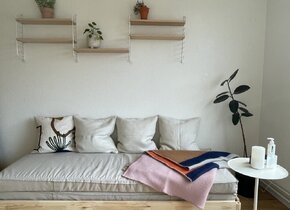 3 Bedroom flat Dec-Feb Flexible Wiedikon