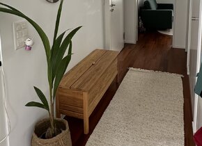 Looking for a Roommate (Zurich City, Stauffacher)