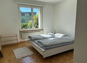 4.5 Zimmerwohnung zur Untermiete - Wipkingen