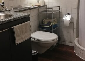 Wunderbare Wohnung zur Untermiete 5-6 Monate