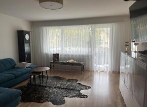 Schöne 2,5 Zimmer Wohnung im Steuerparadies zur...