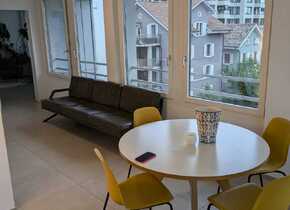 Top furnished city appartment in trendy Wipkingen -...