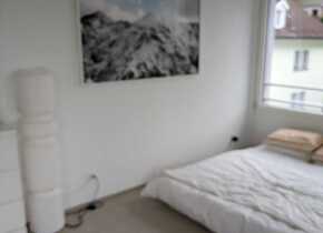 Top furnished city appartment in trendy Wipkingen -...