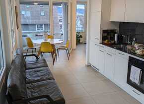 Top furnished city appartment in trendy Wipkingen -...