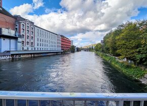 Charmante Wohnung an der Limmat (befristet, möbliert)