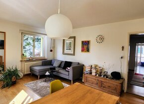 Charming apartment on the river Limmat (temporary,...