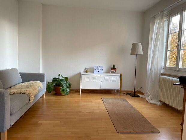 TEMPORARY SUBLEASE from Nvember: 3 room apartment in Wipkingen