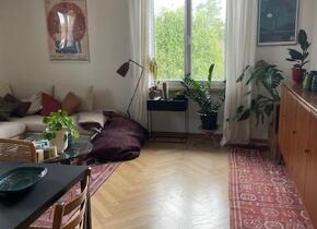 Lovely and bright apartment 3,5 rooms to rent in Breitenrain