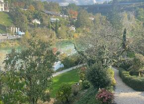 Gemeinschaftlich und selbstverwaltet direkt an der Aare...