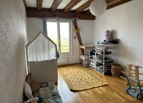 Charmant flat to rent - 20 Minutes from Geneva