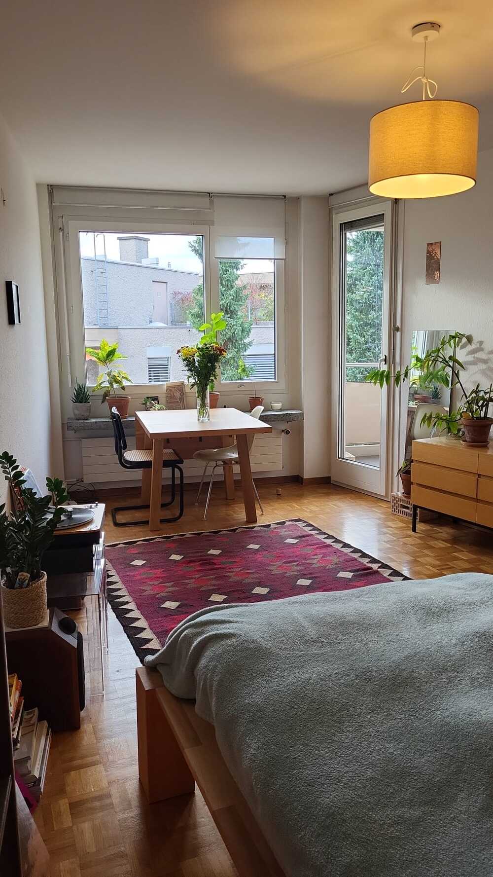 Nice sunny flat in Zürich