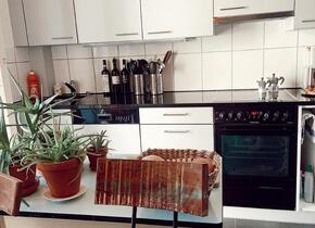 For sublet: Charming 2.5-room apartment in Zurich Wipkingen.