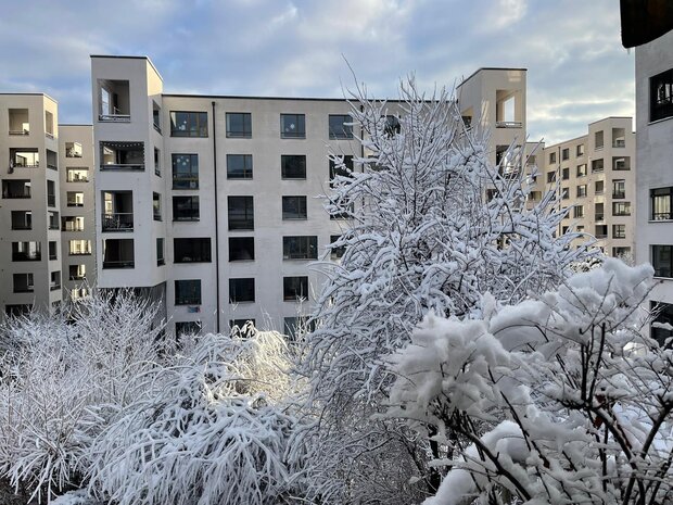 "Wohnen am Fuße des Üetlibergs" – Schöne 1.5-Zimmer-Wohnung in Triemli – Befristet vom 25.11. bis 2