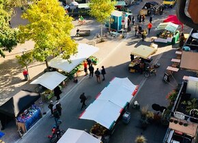 Wunderschönes Zimmer für mind. 1 Jahr am Brupbacherplatz