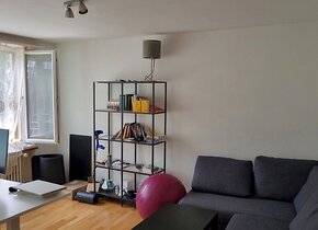 2.5 Zimmer Wohnung im Triemli