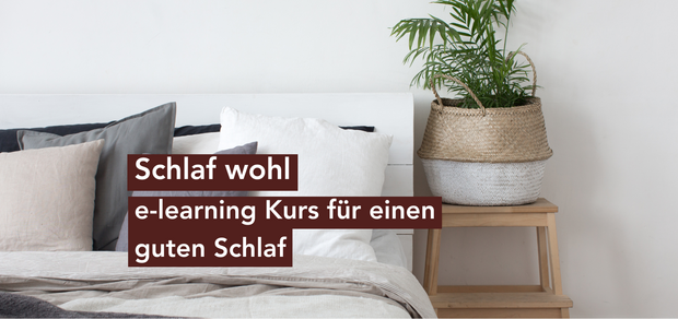 Schlaf wohl - e-learning Kurs für einen guten Schlaf