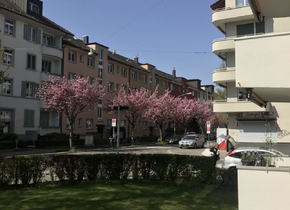 Tausche grosse 1-Zi-Wohnung mit Balkon gegen...