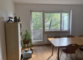 Grosszügiges Zimmer in der Länggasse