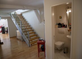 Wg Zimmer 23m2 in Winterthur altstadt ab 1.12.24