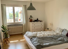 3.5 Zi.-Wohnung zur Untermiete (Ende Dez.24 -Mär.25)