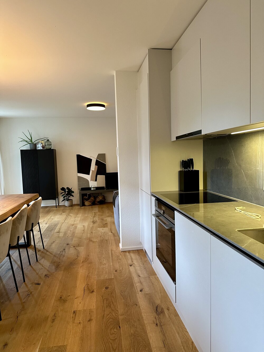 December Sublet Opportunity in Kreis 8, Zurich!