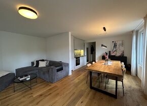 December Sublet Opportunity in Kreis 8, Zurich!