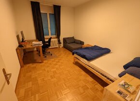 WG Zimmer in Wiedikon - Mitte Dezember bis Ende Februar