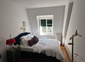 Luminous and charming attic apartment Bern