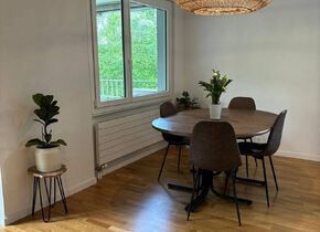 Gemütliche 2,5 Zimmer Wohnung direkt an der Limmat zur...