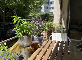 Furnished 3-room apartment in the heart of Wiedikon for...