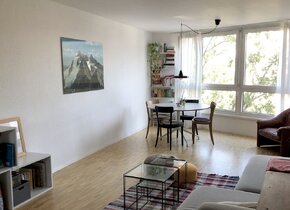 Sunny and Cozy 2.5-Room Appartement | Schmiede Wiedikon