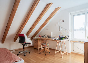 Dachwohnung mit Alpenblick