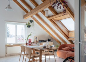 Dachwohnung mit Alpenblick