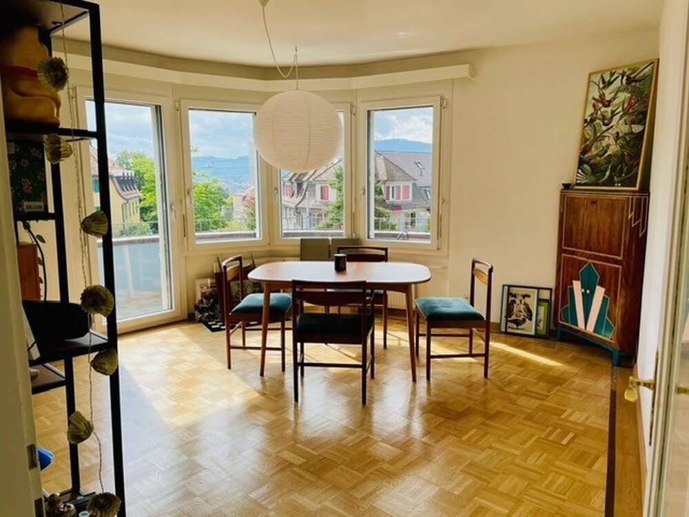 3 ½ room apartment near Bucheggplatz